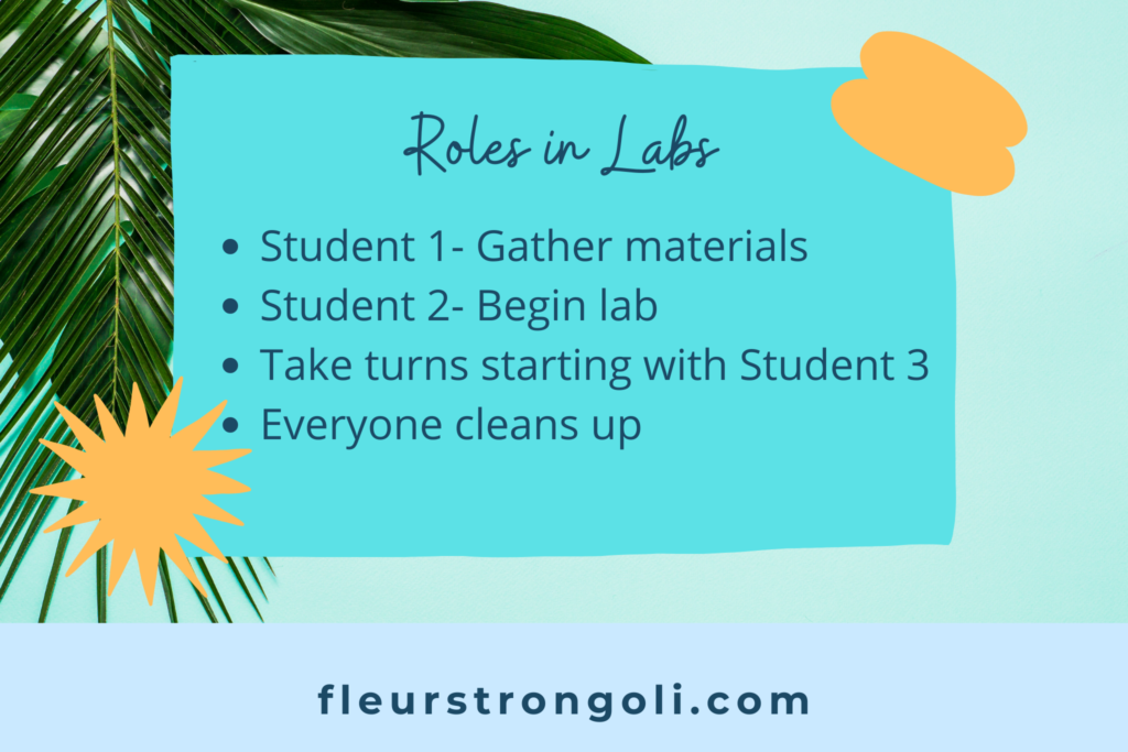 Roles in labs