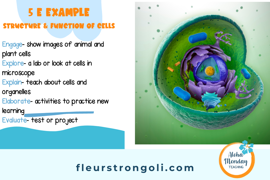 image of a cell with an example of 5E lesson plan