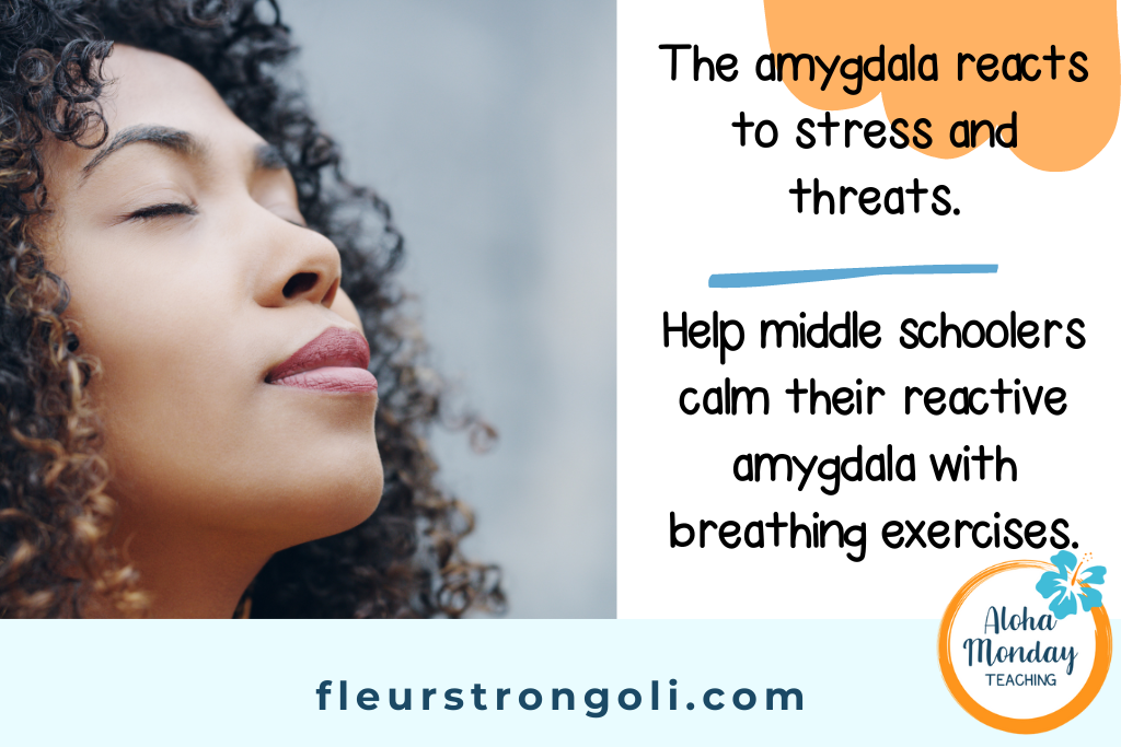 Picture of woman breathing with summary of the amygdala and middle schoolers.