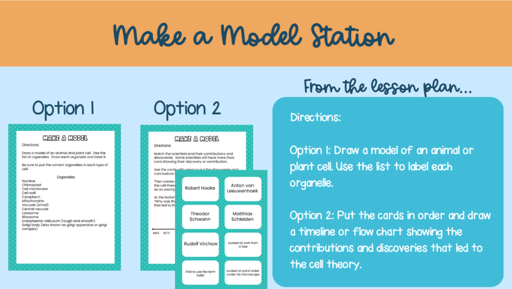 Make a Model Station- Shows an excerpt from the lesson plan and images of two options to make a model - directions for the activities
